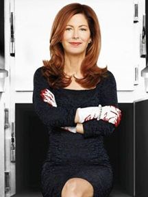 Body Of Proof saison 1 poster