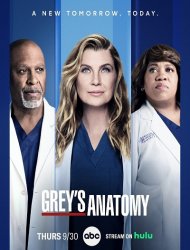 Grey's Anatomy saison 21 poster