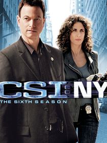 Les Experts : Manhattan saison 6 poster