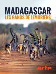 Madagascar : les gangs de lémuriens saison 1 poster