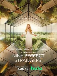 Nine Perfect Strangers saison 1 poster