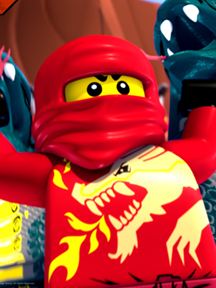 Ninjago saison 5 poster