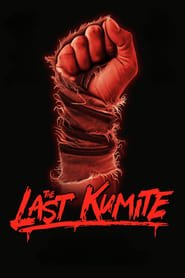 The Last Kumite