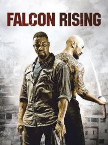 Falcon Rising