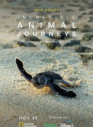 Incredible Animal Journeys saison 1 poster