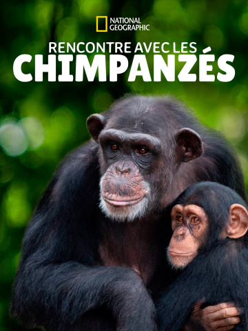 Rencontre avec les chimpanzés saison 1 poster