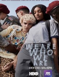 We Are Who We Are saison 1 poster